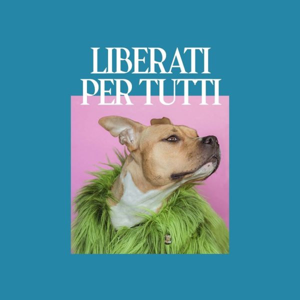 Il regalo perfetto per i vostri amici pelosi!